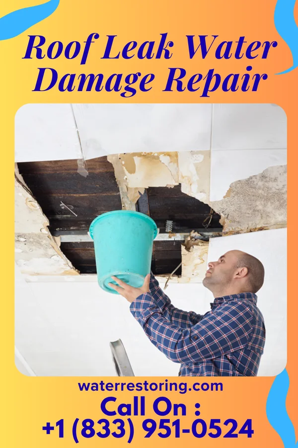 Roof Leak Water Damage Repair in Northwest Stanwood, WA